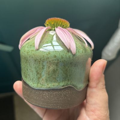 A clay flowerpot